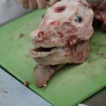 face_meat